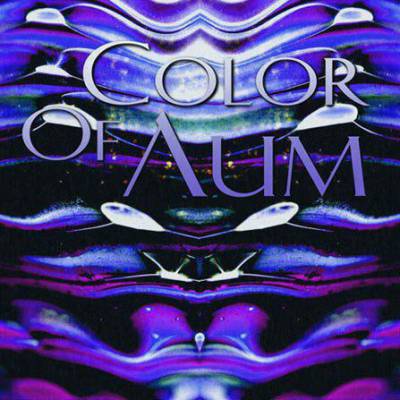 logo Color Of Aum